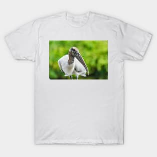 Wood stork  2 T-Shirt